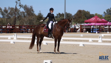 2026 Tamworth Dressage Club Competition